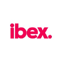 ibex